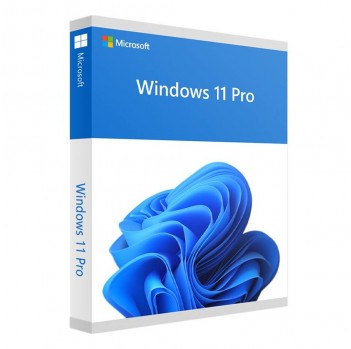 Microsoft HAV-00163   Microsoft Windows