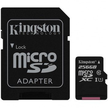Kingston SDCS/256GB MicroSD Card